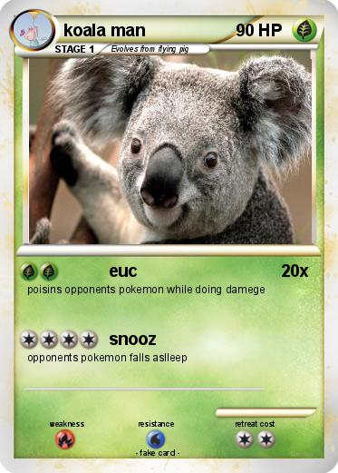 Pokemon koala man
