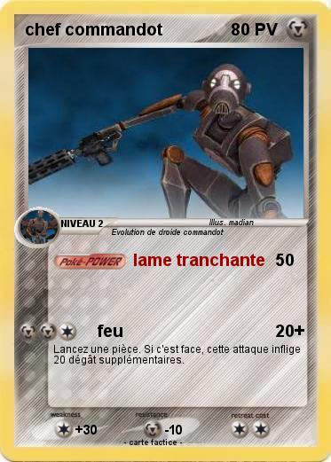 Pokemon chef commandot