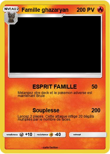 Pokemon Famille ghazaryan