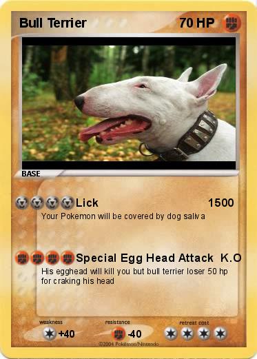 Pokemon Bull Terrier                                               