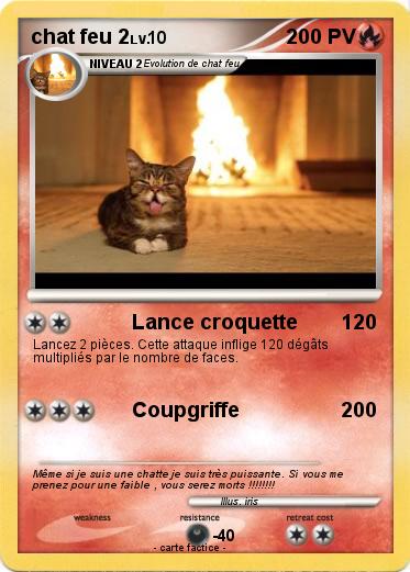 Pokemon chat feu 2