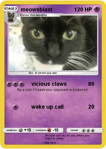 Pokemon meowsblast