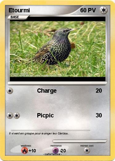 Pokemon Etourmi