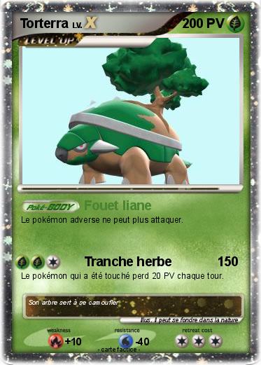 Pokemon Torterra