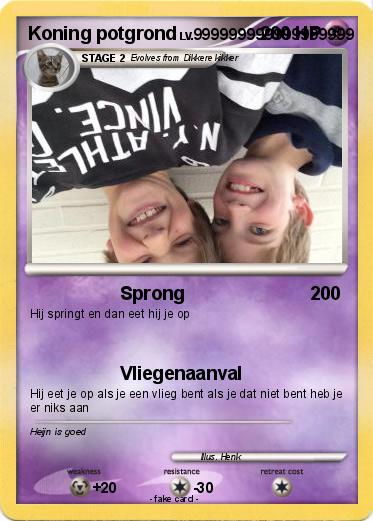 Pokemon Koning potgrond