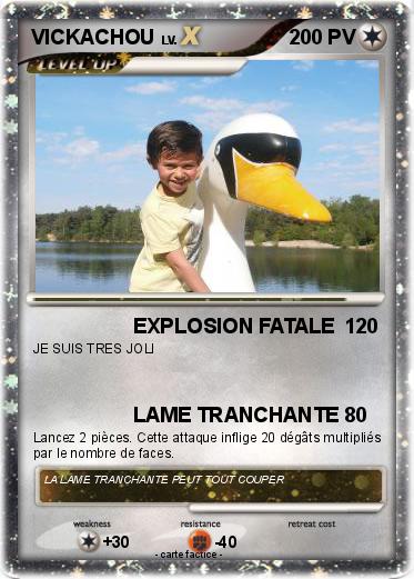 Pokemon VICKACHOU