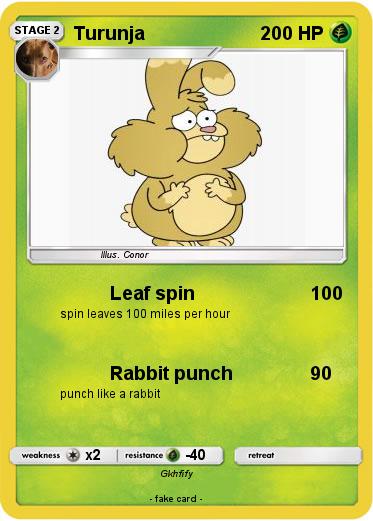 Pokemon Turunja