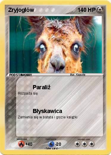 Pokemon Zryjogłów
