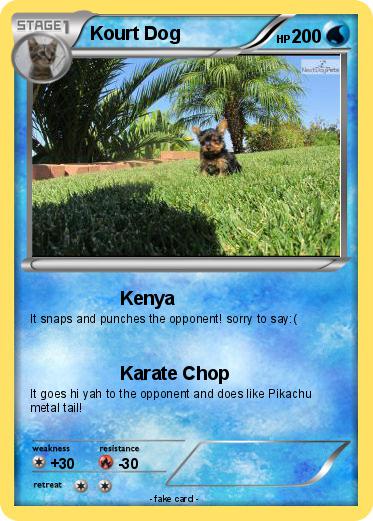 Pokemon Kourt Dog