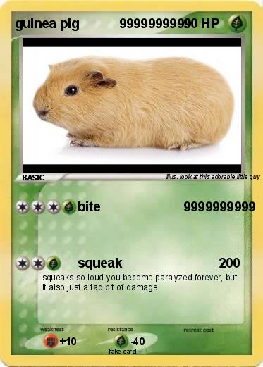 Pokemon guinea pig           9999999999