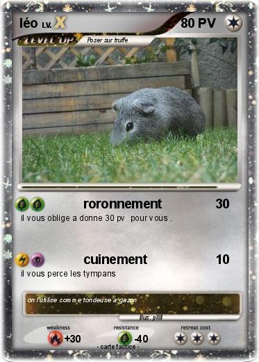 Pokemon léo