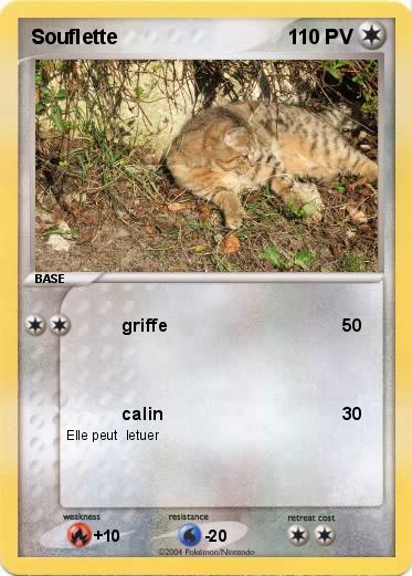 Pokemon Souflette