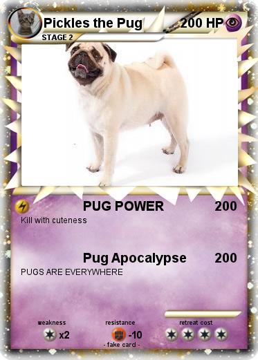 Pokemon Pickles the Pug