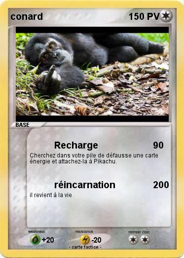 Pokemon conard