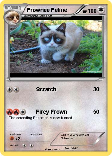 Pokemon Frownee Feline