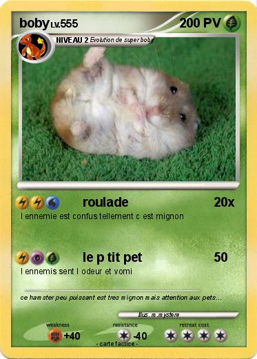 Pokemon boby