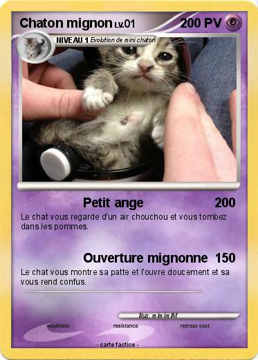Pokemon Chaton mignon