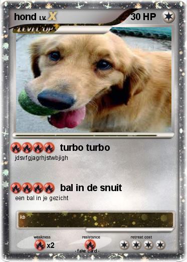 Pokemon hond