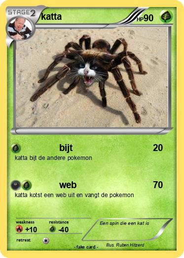 Pokemon katta