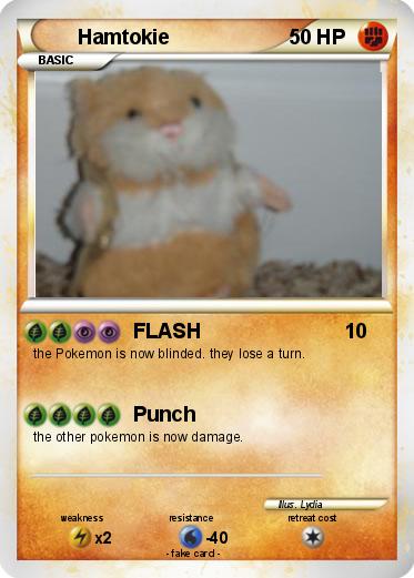 Pokemon Hamtokie