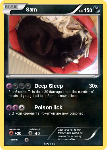 Pokemon Sam