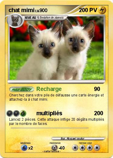 Pokemon chat mimi