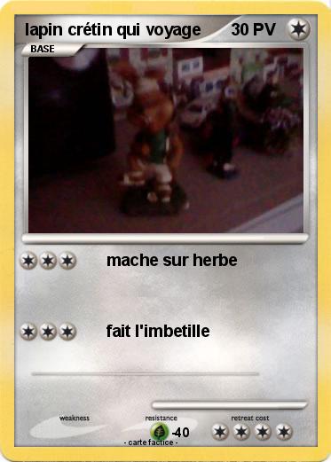 Pokemon lapin crétin qui voyage