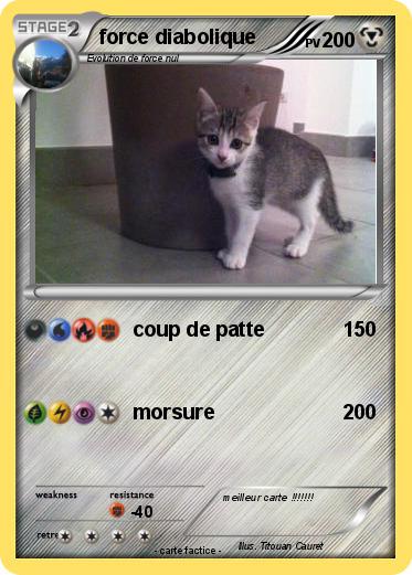 Pokemon force diabolique