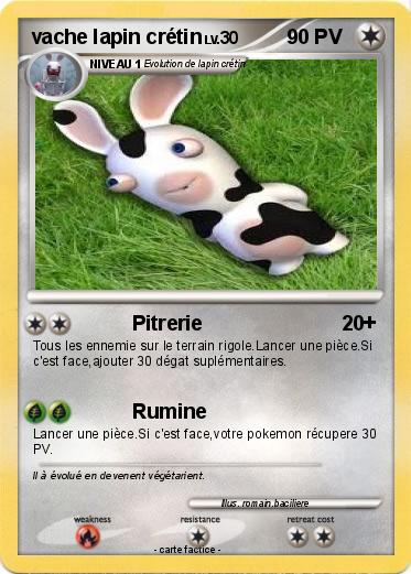 Pokemon vache lapin crétin