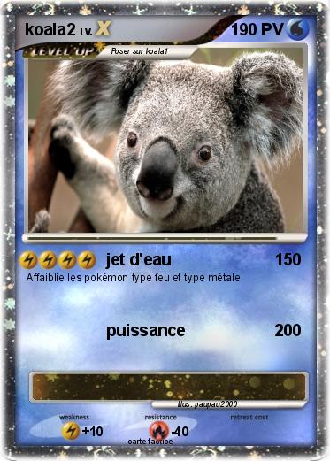 Pokemon koala2