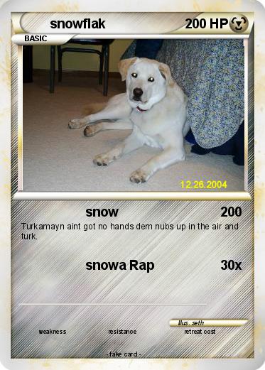 Pokemon snowflak