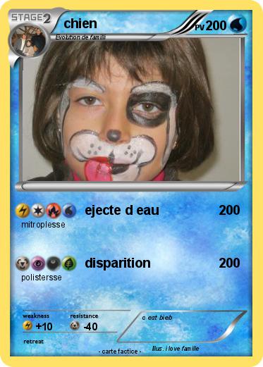 Pokemon chien
