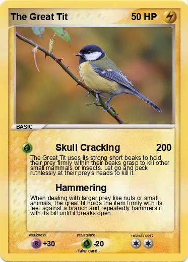 Pokemon The Great Tit