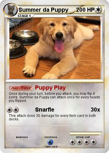 Pokemon Summer da Puppy