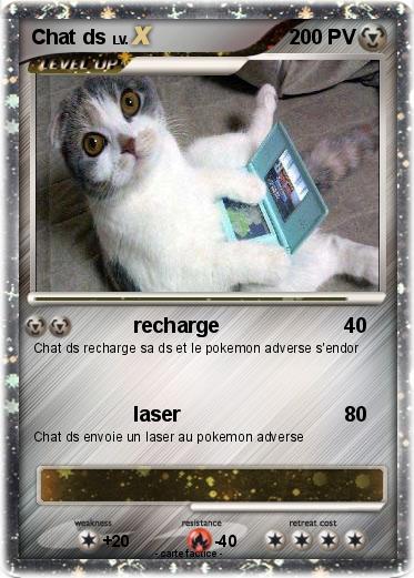 Pokemon Chat ds