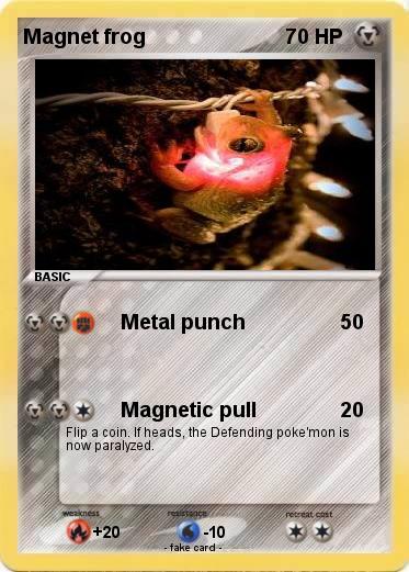 Pokemon Magnet frog