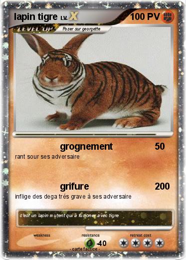 Pokemon lapin tigre