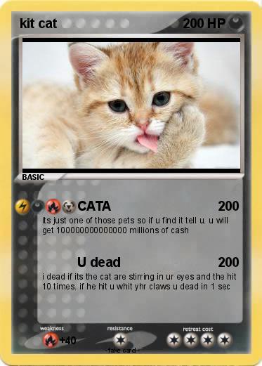 Pokemon kit cat