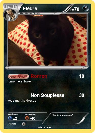 Pokemon Fleura