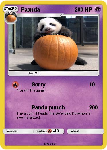 Pokemon Paanda