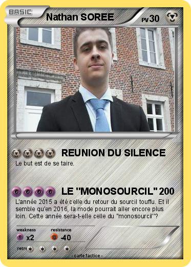 Pokemon Nathan SOREE