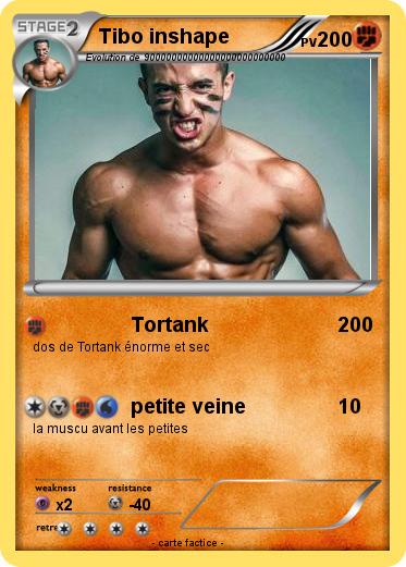 Pokemon Tibo inshape