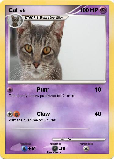 Pokemon Cat