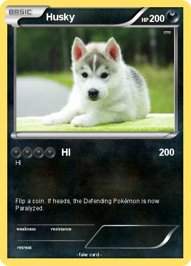 Pokemon Husky