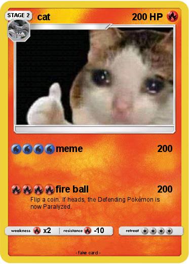 Pokemon cat
