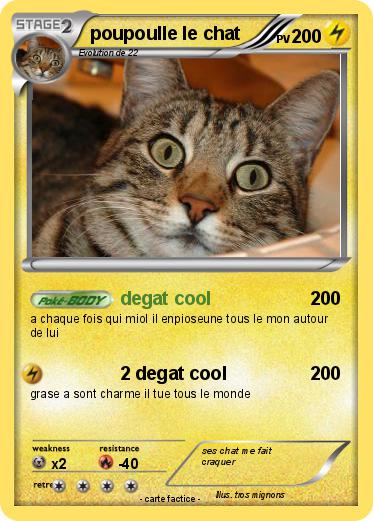 Pokemon poupoulle le chat