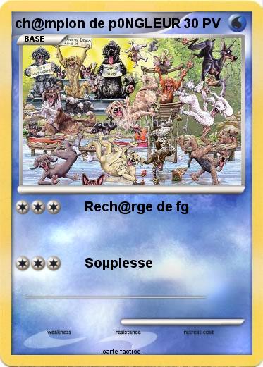 Pokemon ch@mpion de p0NGLEUR