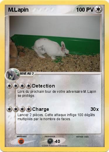 Pokemon M.Lapin