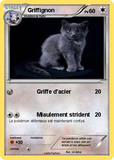 Pokemon Griffignon