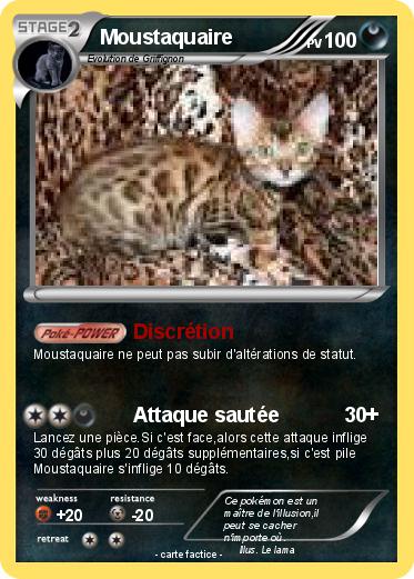 Pokemon Moustaquaire
